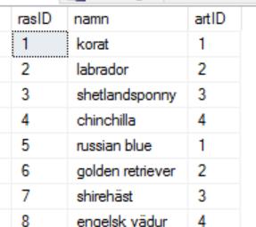 Ett djur har namn och som främmande nycklar både kundid och rasid.