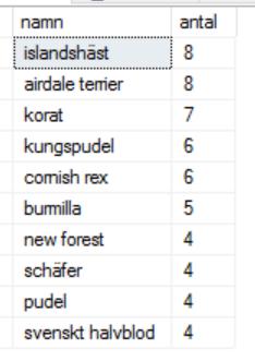 13. Skapa en topp-tio-lista över raser i registret!