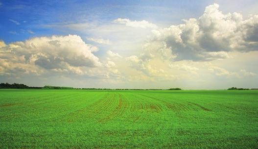 Se sida 95 120 g Frostfritt UPMA - Registreringsinnehavare Rotam Ergon är ett systemiskt ogräsmedel som transporteras snabbt inom plantan och hämmar tillväxten inom timmar efter appliceringen och