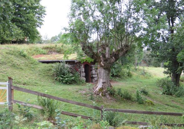 Stenkällaren och hamlade träd vid