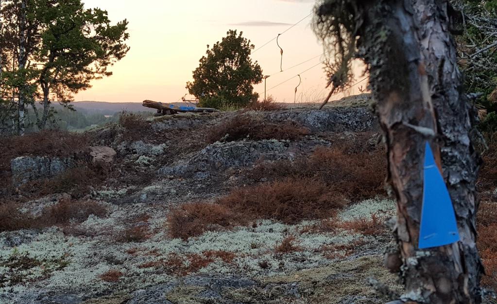 Stadgar Vitalisskogens stigcyklister intresseförening?