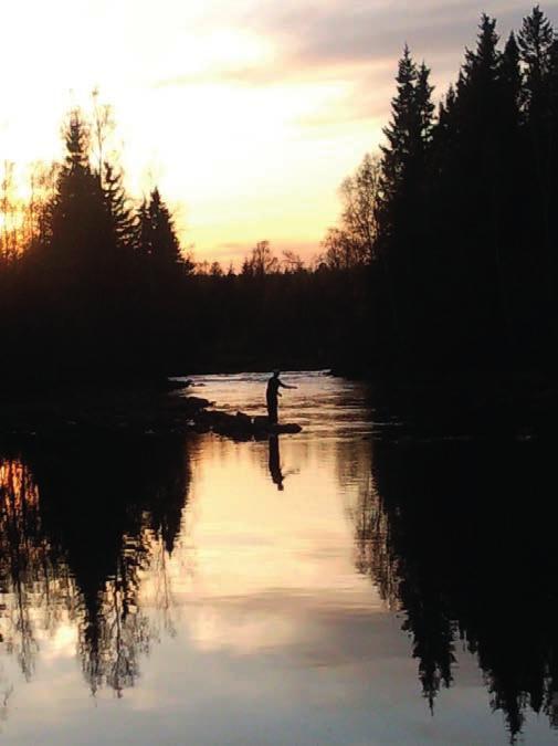 Möjlighet finns att hyra en båt för att ta sig över till ön Rataskär. Här har du alla möjligheter till att uppleva ett rikt friluftsliv. Det finns närmare 70 st sjöar och fisk i de flesta.