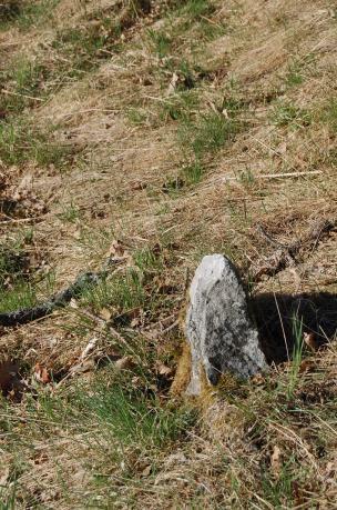 Ingen text. Markerar gräns mellan Jursta och Önsta. Gamla landsvägen mellan Tätorp och Kallhäll, mitt emot runstenen. Höjd ca 45 cm. Ingen text.