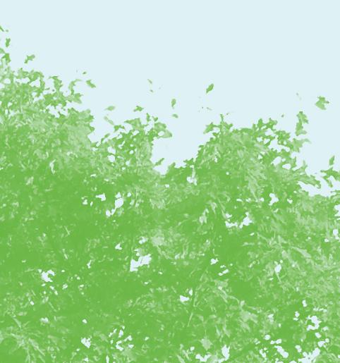 golvbrunn för rengörning av kärl och golv Exempel på avfallsutrymme med fastighetsnära insamling dimensionerad för 50 lägenheter. BILD: SARA SUNDIN, RAMBOLL.