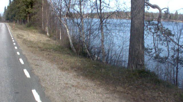 Foto där väg 395 går närmast älven och erosionsskyddet kommer att anläggas Kunskapsläget Inom ramen för MaKS-projektet har tre inventeringar utförts i syfte att skaffa kunskap om miljöns