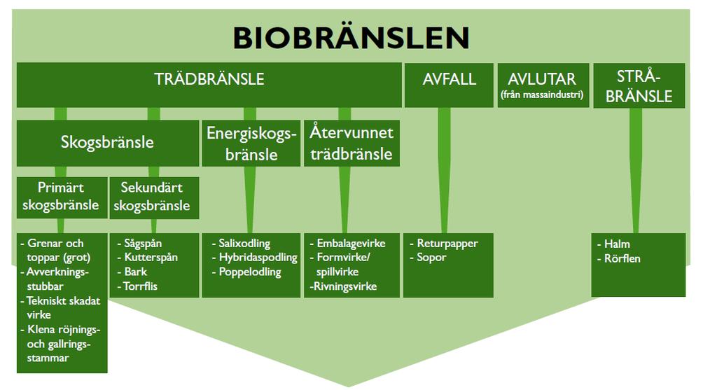 Figur 1 Förteckning över biobränslen (Källa: Egnell, 2009).