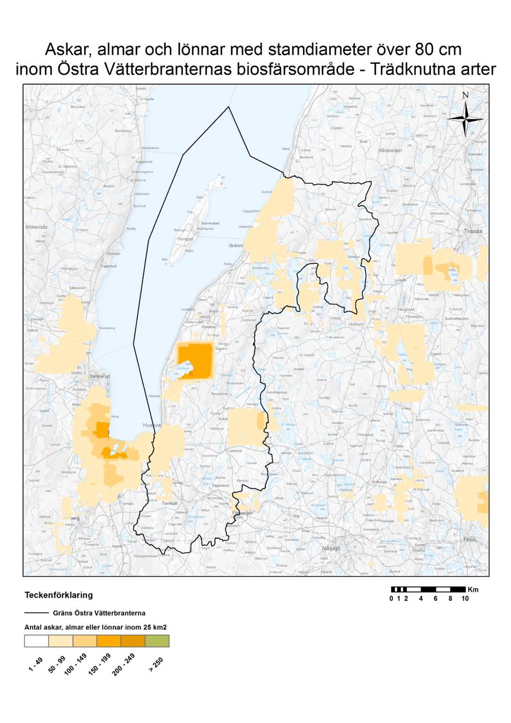 Figur 5. Askar, almar och lönnar med stamdiameter över 100 cm. Mörk orange färg visar det område som ligger närmast att uppfylla tröskelvärdet på 240 ekar per 25km 2.