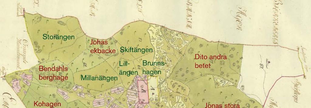 Figur 8. Udderyd i Ölmstad socken 1702. Hagar (röd text) och ängar (grön text) beskrivs tämligen detaljerat till kvalitet och växtlighet.