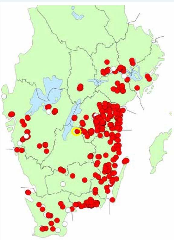 Figur 15. Utbredning för Läderbagge i Sverige.