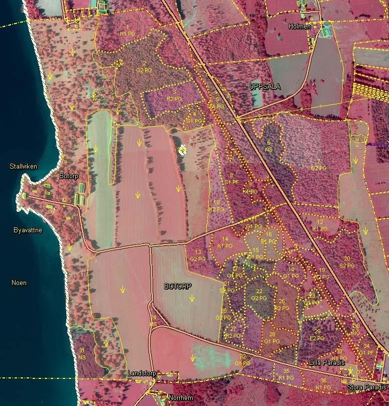 Figur 18. Skogsbruksplan för Botorp med ortofotobakgrund. Stora delar av det som var ängsmark på 1600- talet har vuxit igen med skog. Västra delen mot sjön betas och här finns de grövsta ekarna.