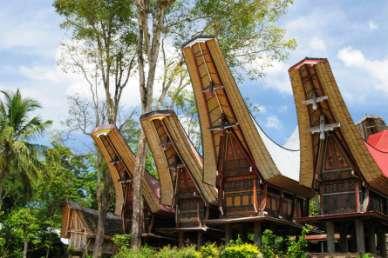 Dagen ägnas åt byarna söder om Rantepao och vi börjar i Lemo, den mest berömda begravningsplatsen i Tana Toraja.