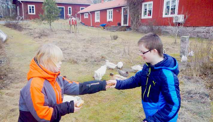 Foto: Lena Westerberg ADHD vid Downs syndrom ADHD är i likhet med autism en neuropsykiatrisk funktionsnedsättning och båda diagnoserna kan ibland förekomma tillsammans.