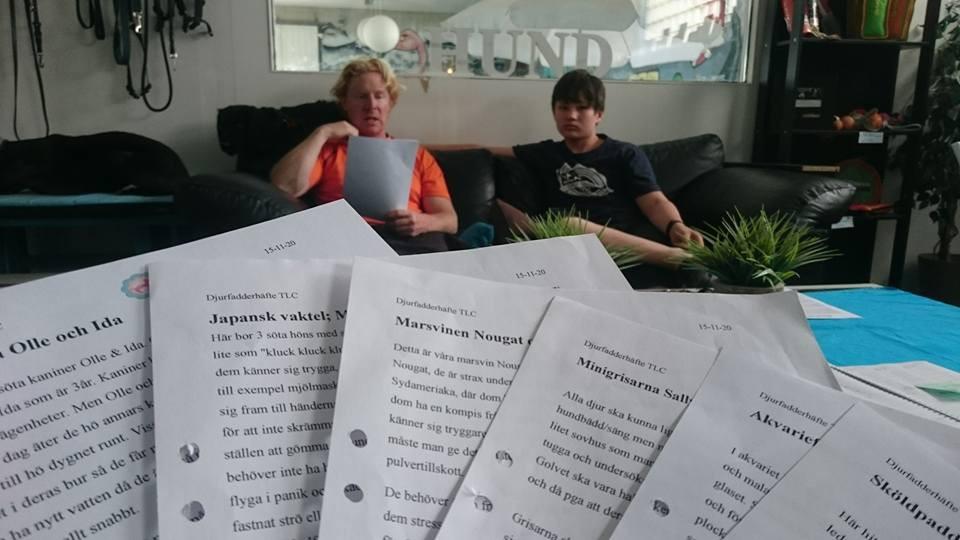 Djurfaddrar Våra djurfaddrar kan vara folk som inte själv har möjlighet att ha djur hemma, det är inte alla som har en gris
