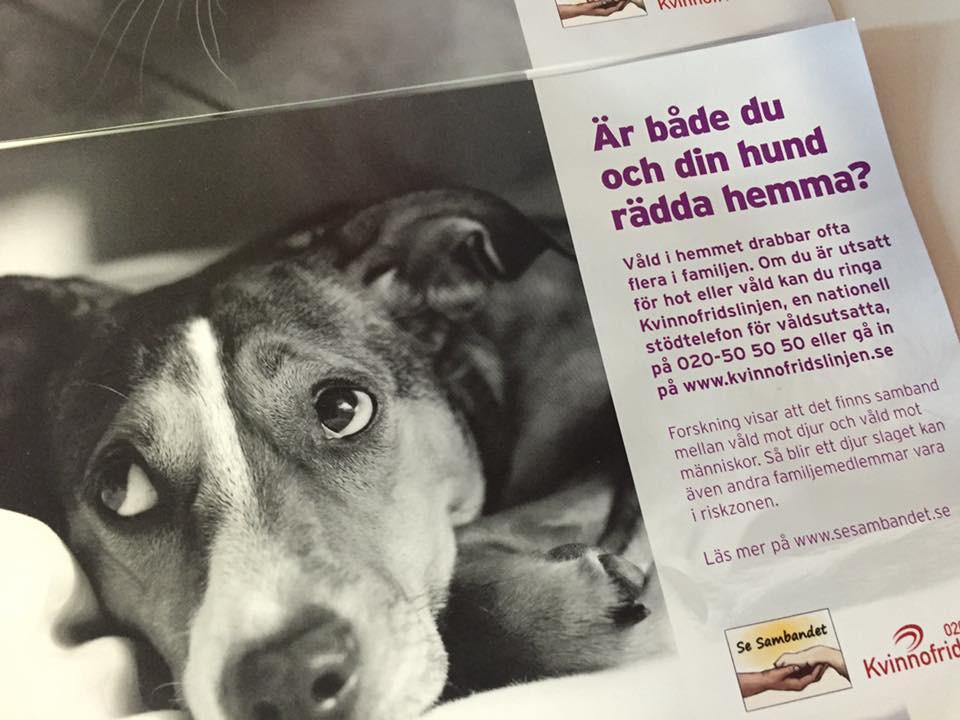Föreläsningar Vi har haft VOOF här, Veterinärernas omtanke om våldsutsatta jobbar ideellt genom att hjälpa våldsutsatta med husdjur då man inte alltid har möjlighet att ta med sitt husdjur pga