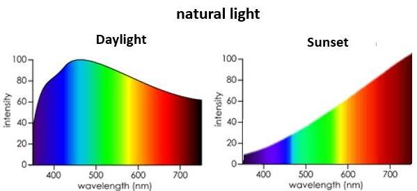 Ljusets färgtemperatur