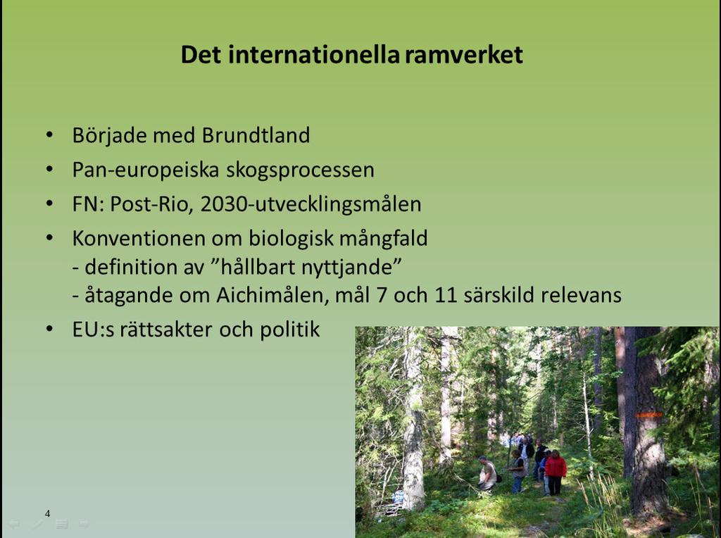 Utan en sådan blir det mycket svårt att nå en bred samsyn kring ett nationellt skogsprogram och därmed en mycket svag legitimitet.