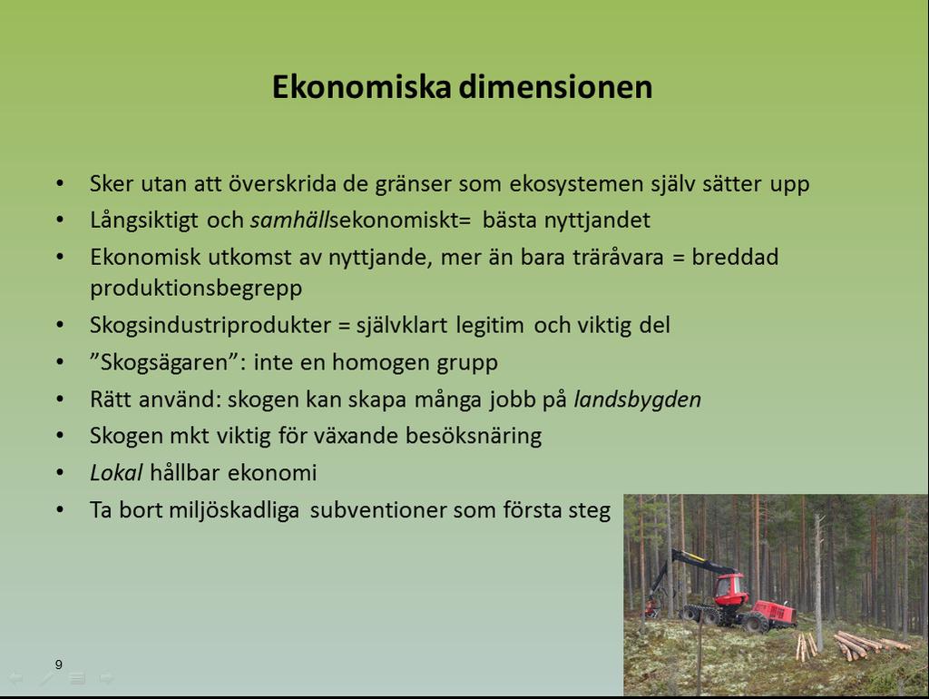 Den ekonomiska utkomsten av skogen måste, som framhållits ovan, ske inom ekosystemets gränser.