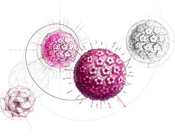 Orsaker och riskfaktorer HPV- Humana papillomvirus - betyder vårtvirus hos människa - det finns fler än 100 olika virustyper - några typer (HPV-1, -2, -4) ger upphov till hudvårtor - andra typer