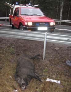 SÖK FRÅN MINNESFONDEN Minnesfonden Alfa och Kurt Gustavssons Minnesfond har tillkommit genom en donation av en f.d. medlem och dennes maka. I denna fond hamnar t.ex.