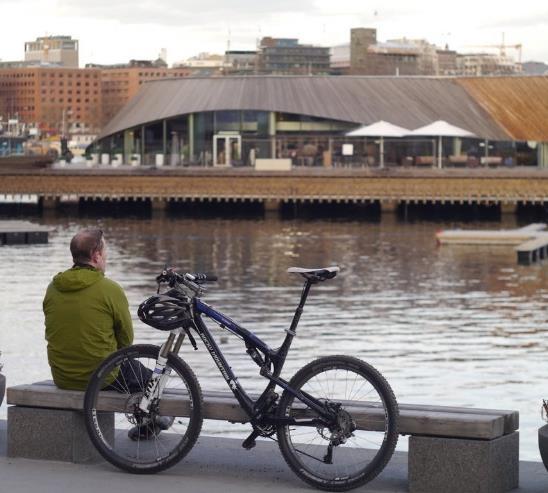 Framtidsspåning (2) som kräver förordningsförändring m.m. Framtagande och beslut om ett stadstrafikmål.