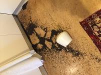 Relativisera inte alltid möjligt vid en kris 0 1 2 3 4 5 6 7 8 9 10 97 Relativisera inte alltid möjligt vid en kris Några humörshöjande
