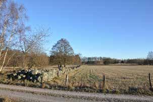 ningarna skedde en omfattande uppodling av ängs- och betesmarker.