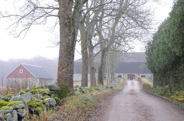 Bymiljö med särskilt höga kulturhistoriska värden Lokalt bevarandeintresse: Korsaröd Infarten till Korsarödsgården med sina anrika gråstenslängor från