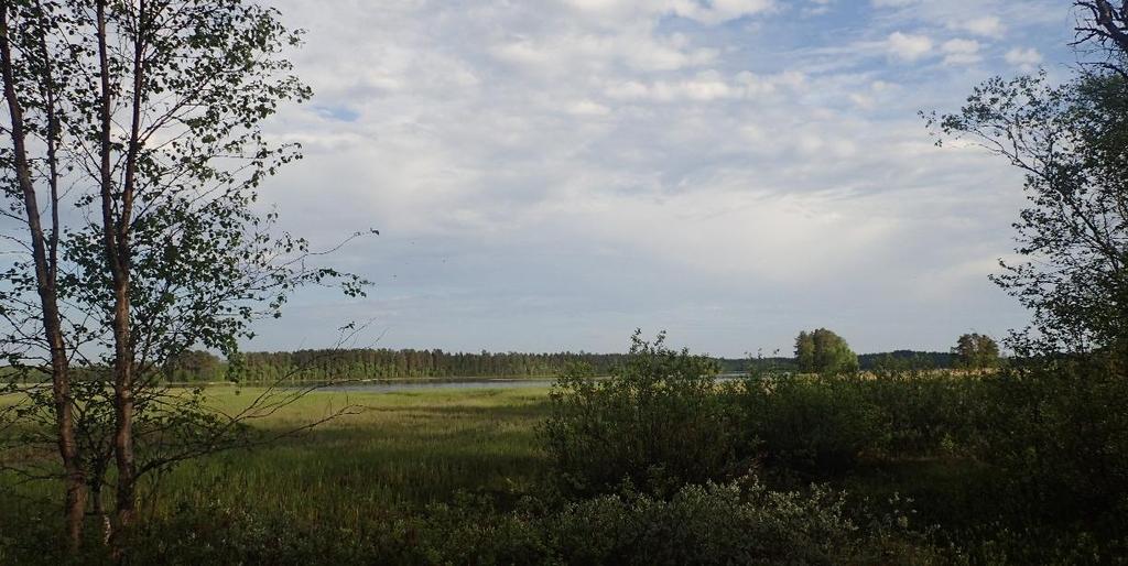 Länsstyrelsens våtmarksinventering (VMI) varav de med vissa naturvärden eller mer beskrivs nedan. Våtmarksområdet Stor-Dåvamyran väster om Dåva har vissa naturvärden.