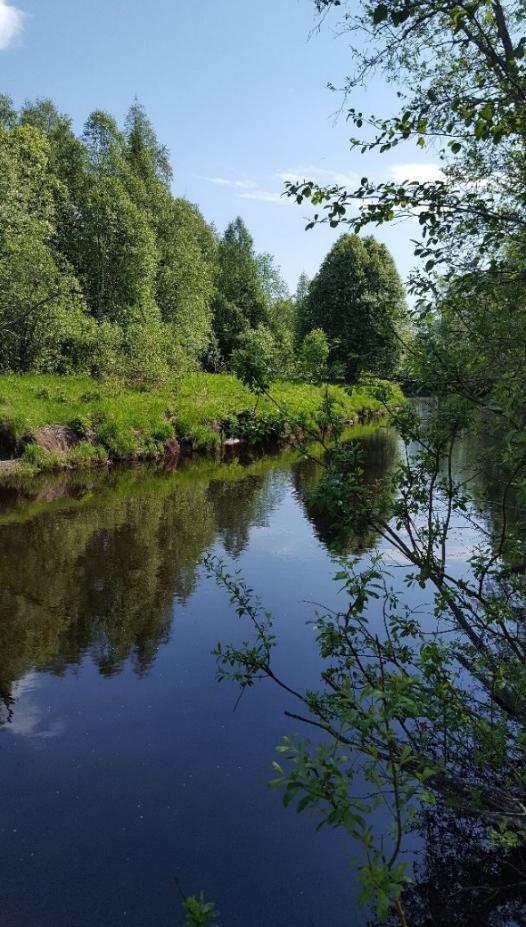 Inom utredningsområdets jordbrukslandskap finns småbiotoper så som åkerholmar och öppna diken som skapar variation i ett i övrigt relativt homogent landskap.