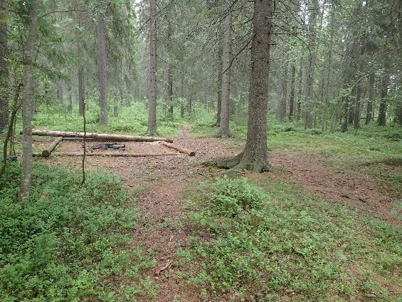 4.5.5. Rekreation och friluftsliv Naturen inom området bjuder in till ett flertal olika slags friluftsaktiviteter.