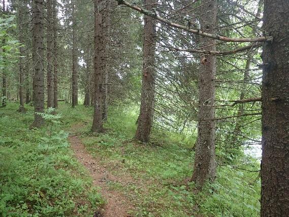 Tavelån bjuder in till olika slags rekreationsoch friluftsmöjligheter. I Tavelån förekommer fiske och andra friluftsaktiviteter som exempelvis paddling.
