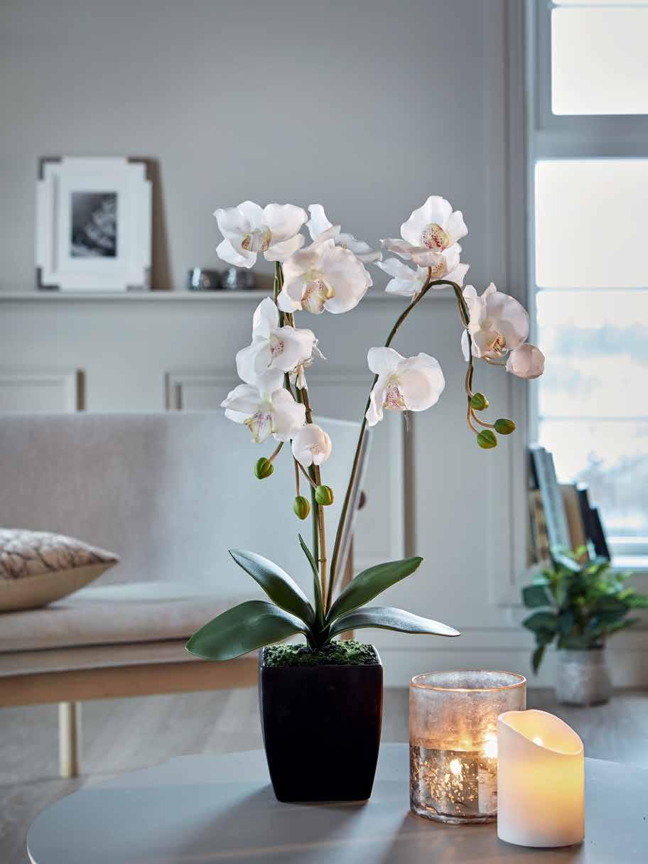 Välkommen till Perfect Home Våren är här och dagarna är långa och ljusa. Vi känner att vi får mer tid till övers och vi önskar våren välkommen genom att förnya oss.