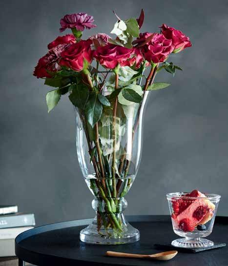 Dolce Vita Michelle French Lily 12640 Dolce