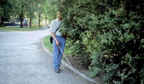 Både de som använder teknikkäpp och de som inte gör det kan följa ledytan. Den konstgjorda ledytan fortsätter även där det finns naturliga kanter, eventuellt av estetiska skäl.