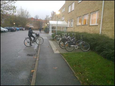 Bild 8 Naturliga taktila ledytor har knutits ihop med konstgjorda ledytor Ledstråket följer gräskanten och har kompletterats med konstgjorda ledytor i form av sinusplattor förbi cykelparkeringen och