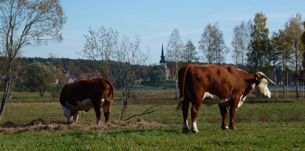 Påbörja översyn senast 2011 Restaurering och nytt bete vid Lindesby strandängar och Råsvalslund. Småbiotoper i odlingslandskapet bevaras i dagens omfattning.