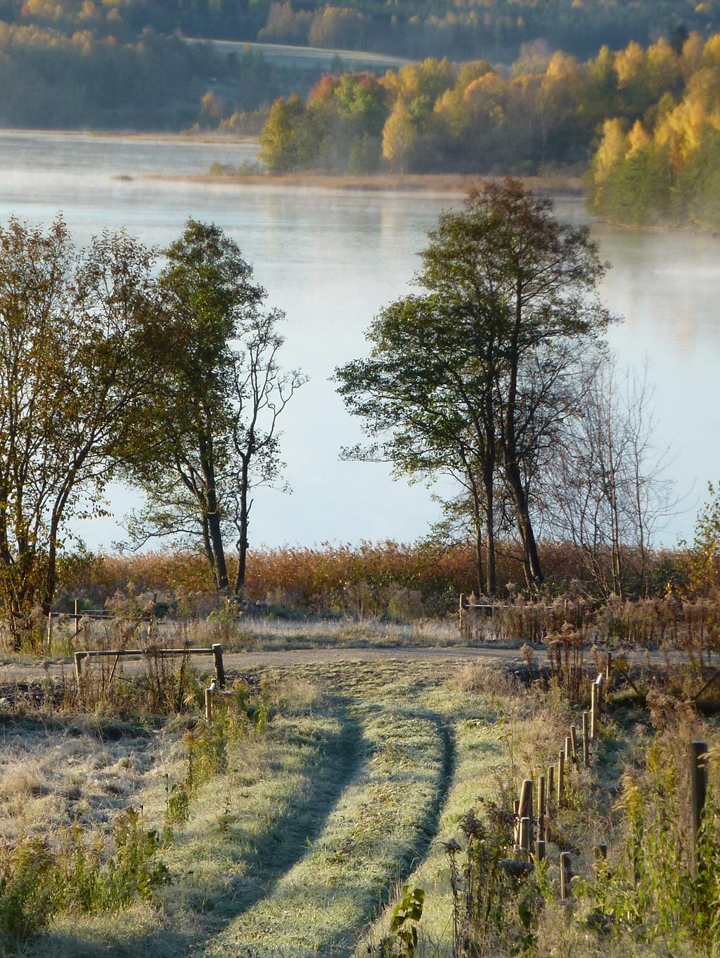 Lindesbergs kommun 0581-810 00 www.lindesberg.