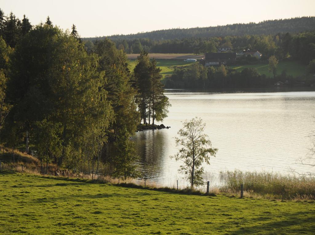 Uppdaterad sammanfattning av lokala miljömål I tabellerna på följande sidor sammanfattas lokala