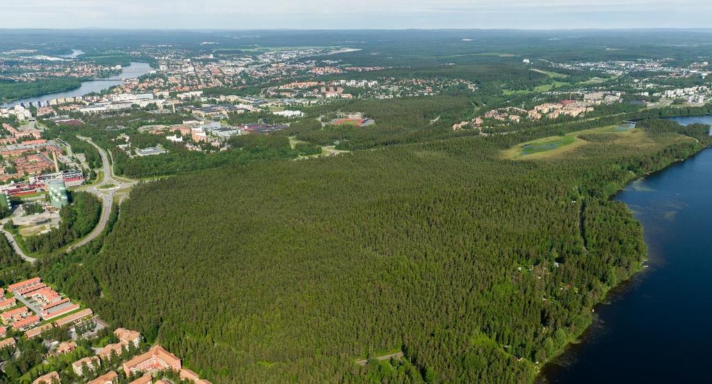 Markägare och aktörer Umeå Kommun är ensam markägare och har tidigt i processen tecknat föravtal med sju stora byggaktörer (Skanska, HSB, PEAB, Riksbyggen, NCC, Rikshem och Slättö).