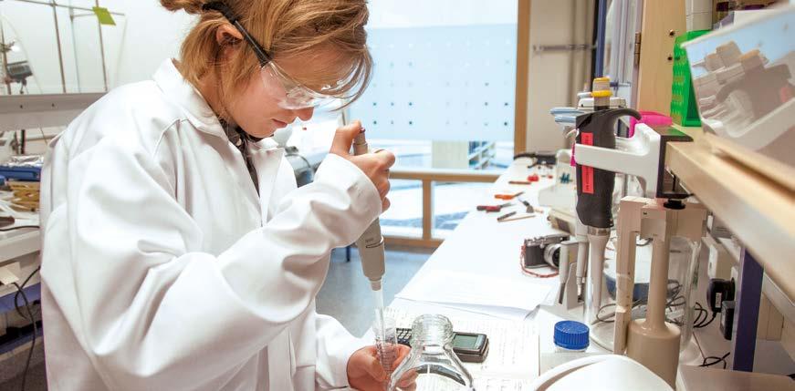 Nanomedicin för diagnostik och behandling av cancer Spago utvecklar nanomaterial för förbättrad diagnostik och behandling av cancer.