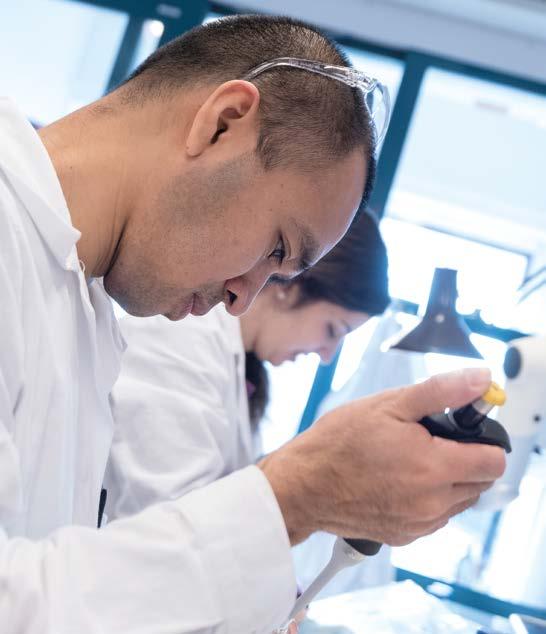 BESLUT OM FÖRETRÄDESEMISSION Baserat på de framsteg Bolaget gjort avseende slutförande och produktion av den produktkandidat inom SpagoPix-projektet som visat goda resultat i prekliniska