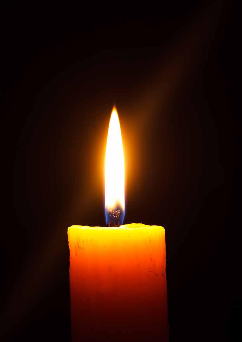 In memoriam Leiionspitz Love Tindr a Titeltavlan Här kan du sätta in en minnesannons om din eurasier har gått bort. Den kostar inget och är en ¼-sida.