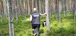 Familjemedlem (S) 28 Utländska 15 Totalt 603 * Uppgift från september 2017 Klubbens hemsida: