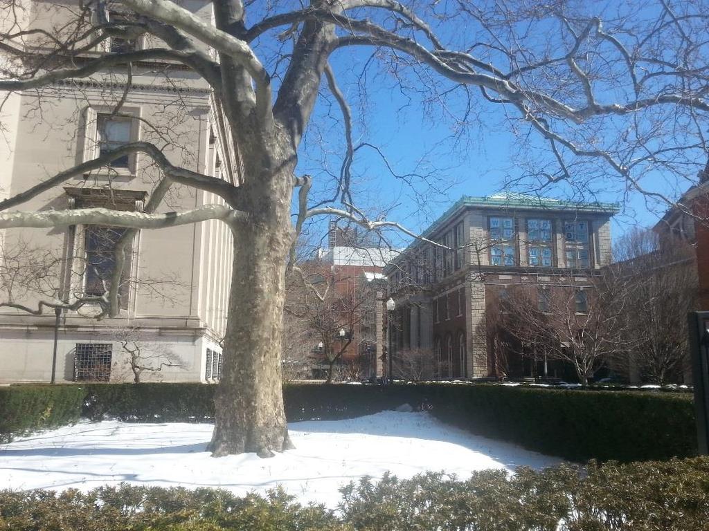 Columbia University; NYC PÅ PLATS I NEW YORK Jag kom fram till ett insnöat New York en dag för sent p g a inställda flyg. Så jag missade första dagen av konferensen vilket var en besvikelse.