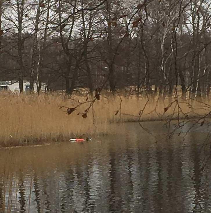 och sättas där den ska