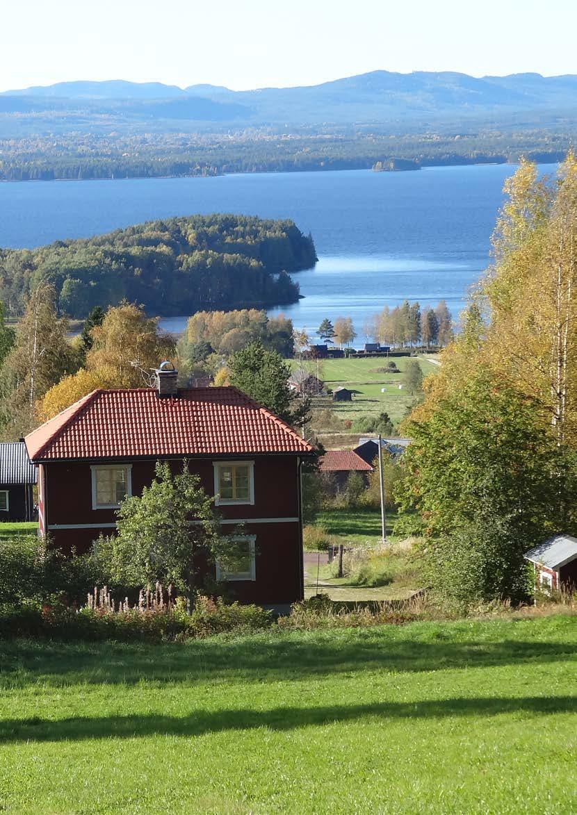 MARKANVÄNDNING OCH OMRÅDES- REKOMMENDATIONER I följande avsnitt presenteras översiktligt kommunens syn på