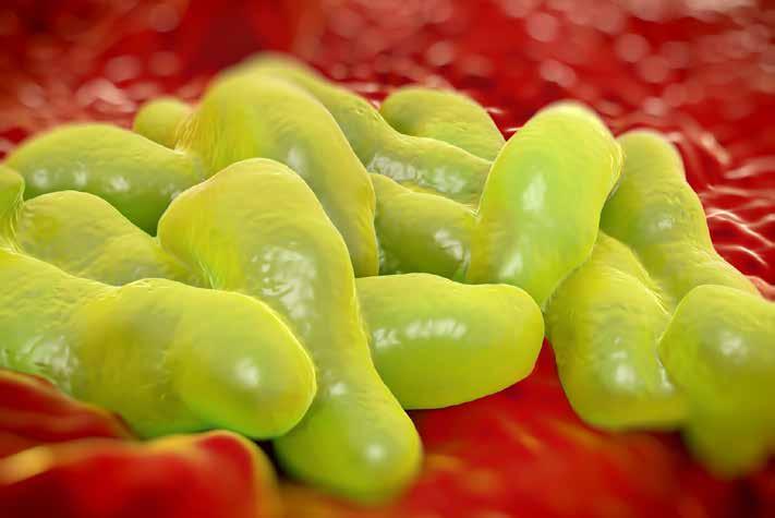 Campylobacter terna ska bli skyldiga att se till att smittfarliga livsmedel inte får säljas oavsett om de tillverkas i Sverige eller utomlands.