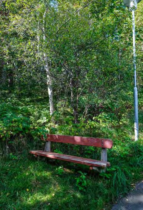 Förlängda tidplaner och minskad buffert Olösta trafikfrågor Arkeologi Buller och lukt
