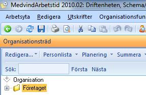 Allmänt I menyraden för organisationen finns valet Summera. Utifrån markerad organisation kan du välja ett summera tider. Du kan välja valfri period för summering.