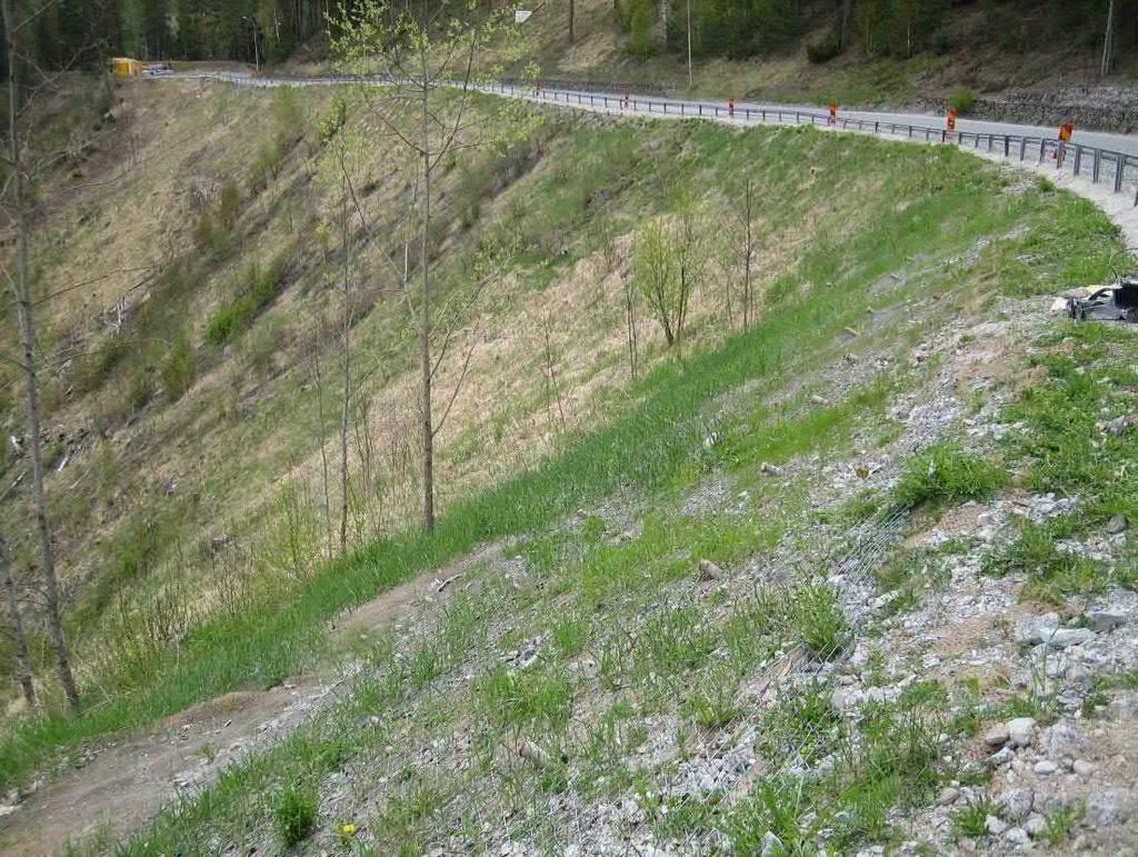 Figur 25. Delyta A färdigställd med vinkeljärn, platta och stålnät (tecco), sticklingar och grässådd. 6.3.2. Delyta B Delyta B sträcker sig mellan längdmätning cirka 0/610 och 0/632.